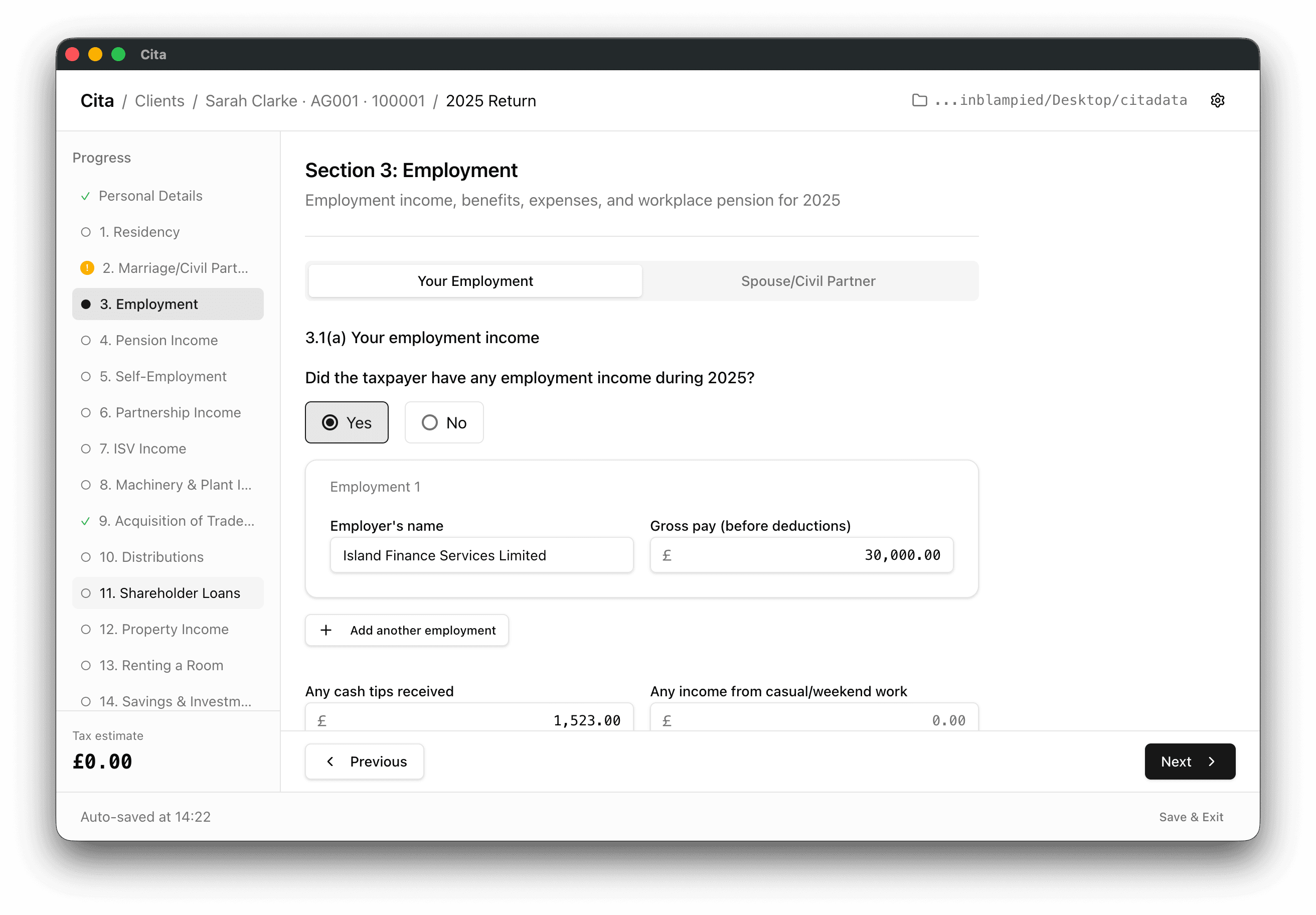 Cita tax return employment section with section progress and inline validation